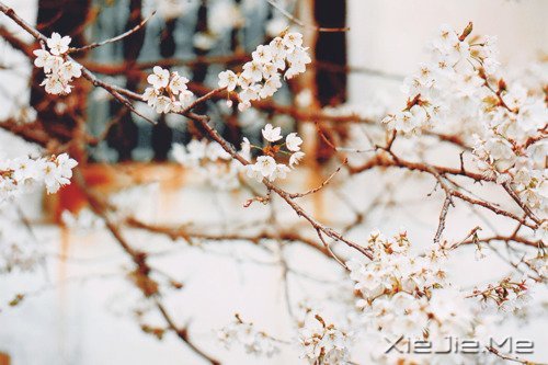 ˃HɹPһ (6)
