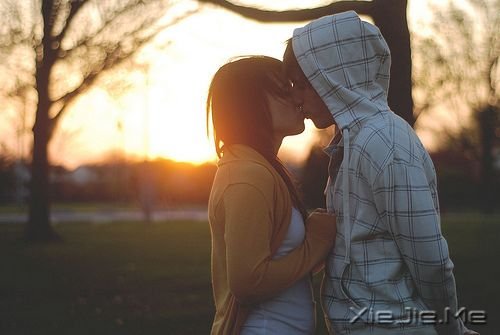 ِmףϧ (10)