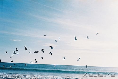 ־£Љ˲x}ֻC}