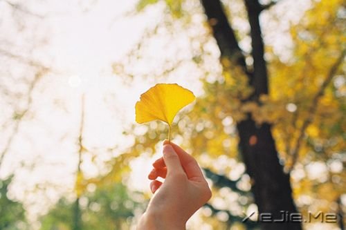 ϛ](mi)ôࡰ(dng)Ȼ